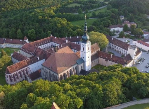 Wienerwald – Las Wiedeński z winem i historią w tle 