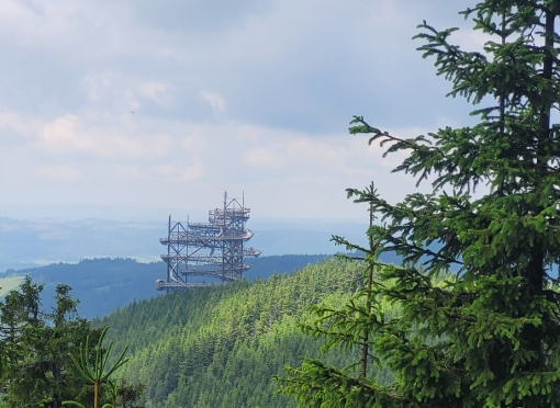 Dolni Morava